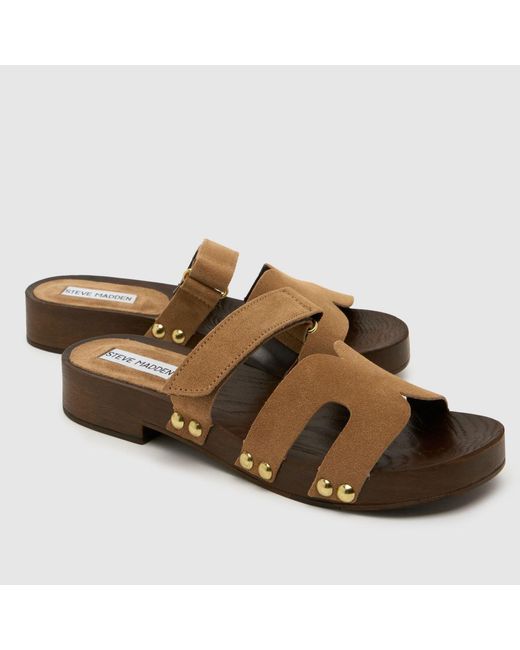 Steve Madden Brown Canal Sandals