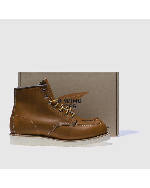 Red Wing Brown 6-Inch Classic Moc Boots for men