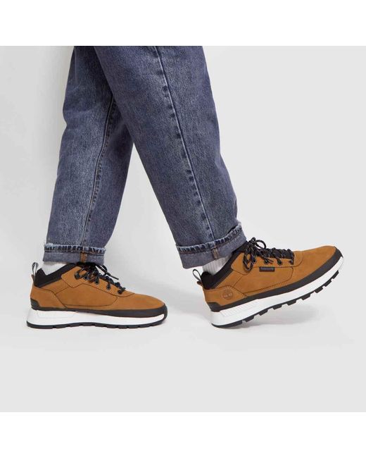 Timberland Brown Field Trekker Low Boots for men