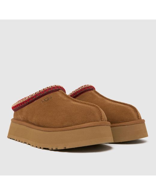 Ugg Brown Tazz Ii Slippers