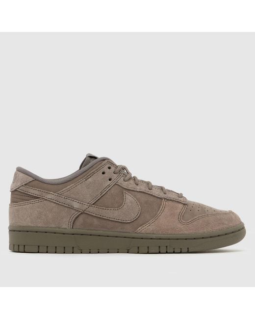 Nike Brown Dunk Low Trainers for men