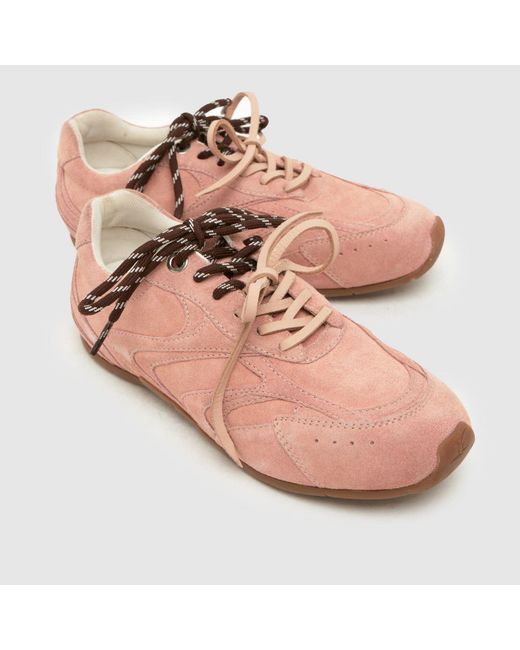Schuh Pink Mindy Suede Lace Up Trainers