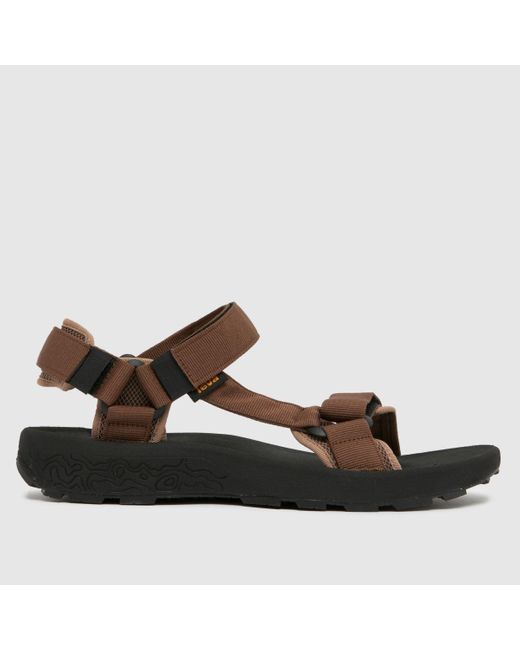 Teva Brown Hydratrek Sandals for men