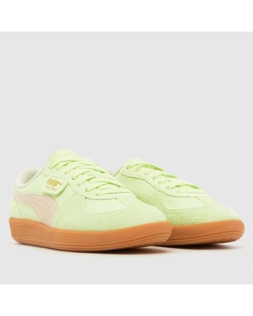 PUMA Yellow Palermo Trainers