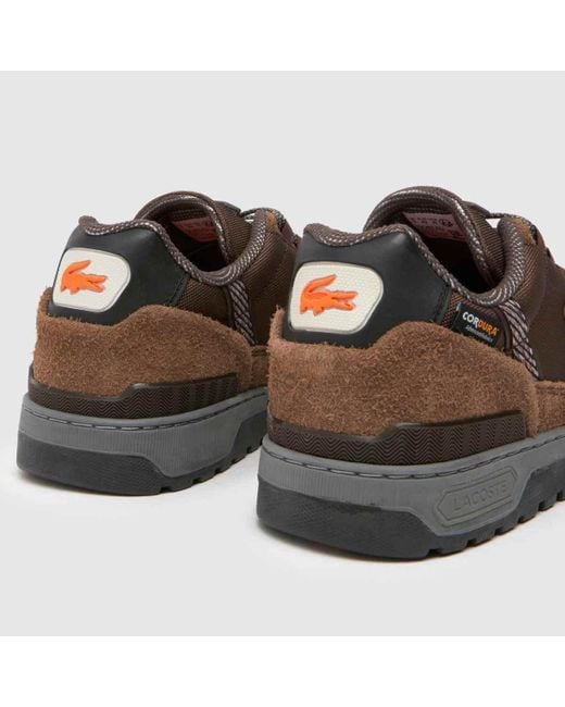 Lacoste Brown T-clip Winter Trainers In for men