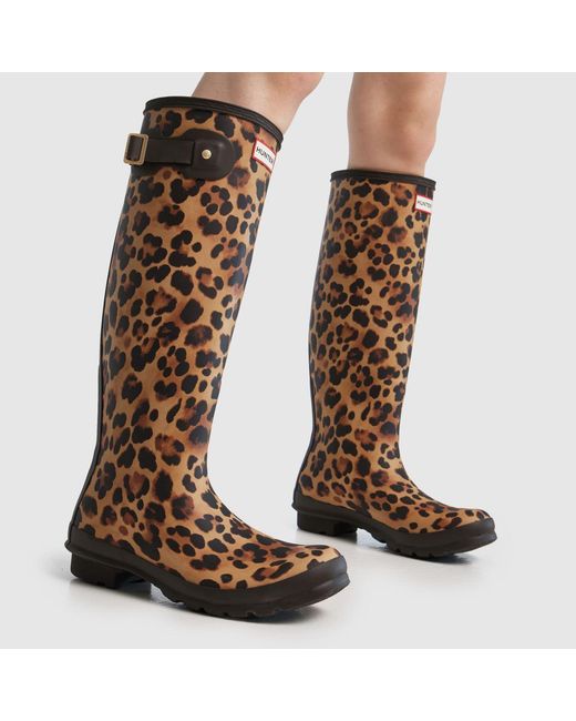 Hunter Brown Original Tall Leopard Boots