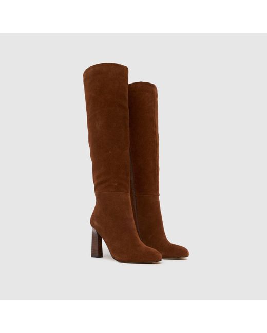 Schuh Brown Draya Suede Knee High Boots