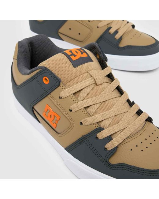 Dc Blue Pure Trainers for men