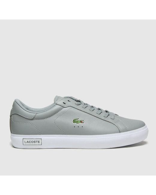Lacoste Gray Powercourt Trainers for men
