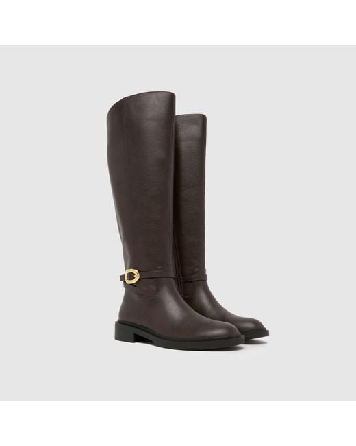 Schuh Brown Dory Riding Boots