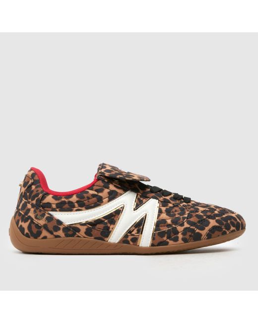 Steve Madden Brown Freekick Trainers