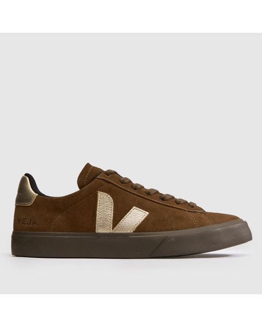 Veja Brown Campo Trainers