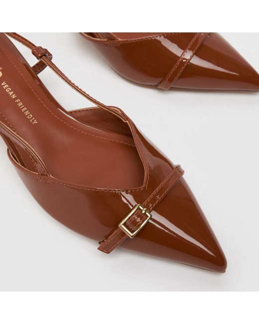 Schuh Brown Sybill Buckle Kitten Low Heels