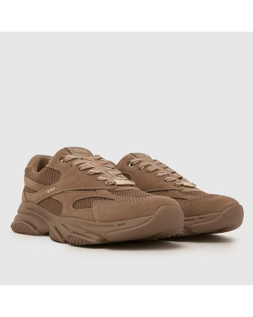 Steve Madden Brown Front Row Trainers