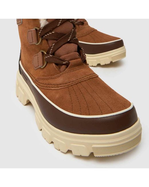 Sorel Brown Torino Boots