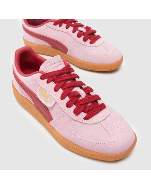 PUMA Pink Palermo Trainers