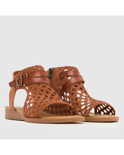 Blowfish Brown Anuella Sandals