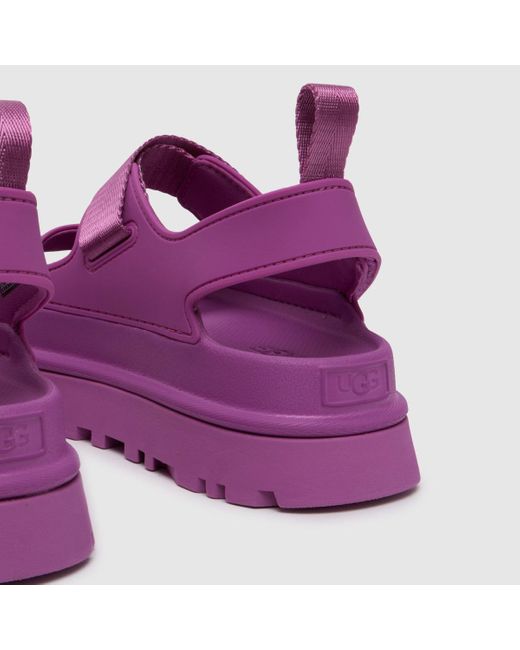 Ugg Purple Goldenglow Sandals In