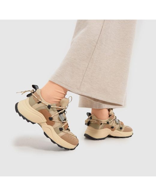 Steve Madden Tazmania Trainers In in Natural Lyst UK