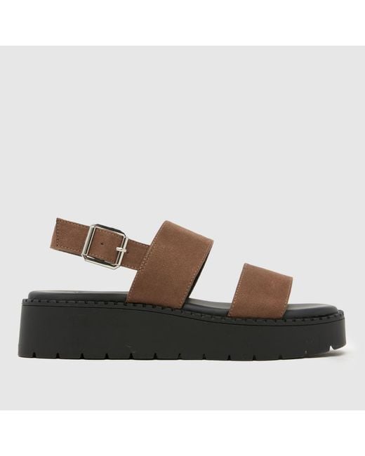 Schuh Brown Tuscany Chunky Sandals