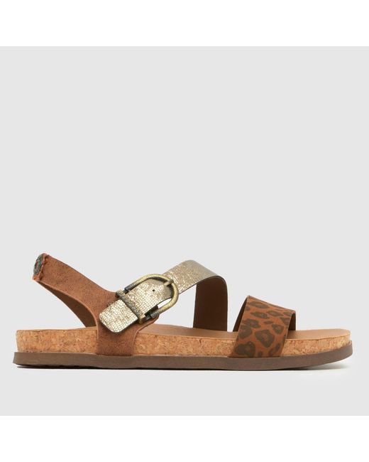 Blowfish Brown Lance Sandals