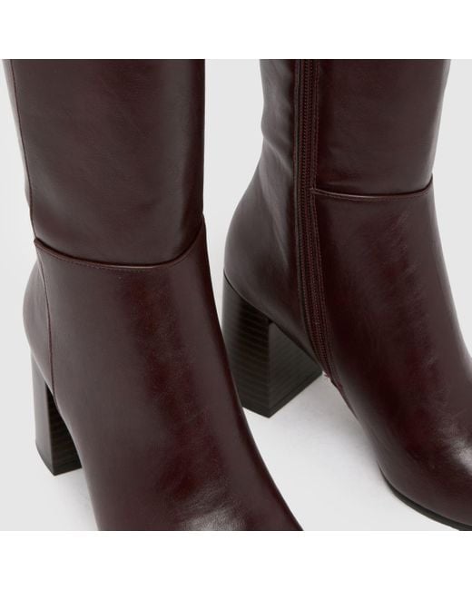 Schuh Brown Devlin Knee High Boots
