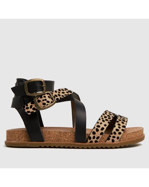 Blowfish Multicolor Fandie Sandals