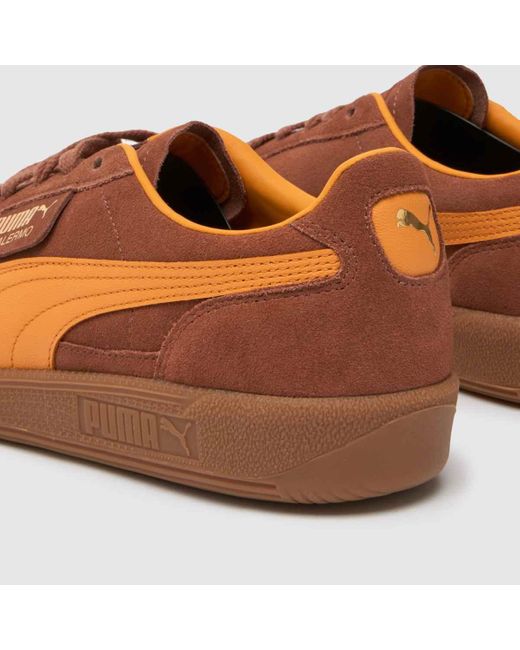 PUMA Brown Palermo Trainers In for men