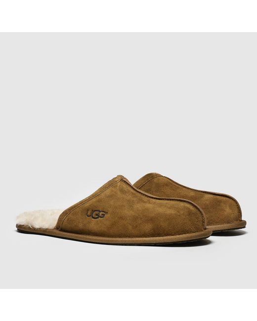 Ugg Brown Scuff Slippers for men