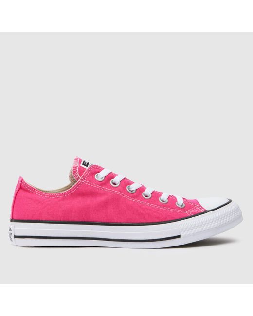Converse Pink All Star Ox Trainers In