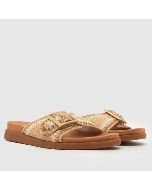 TOMS Brown Marin Slide Sandals