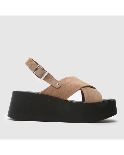 Schuh Brown True Platform Sandals