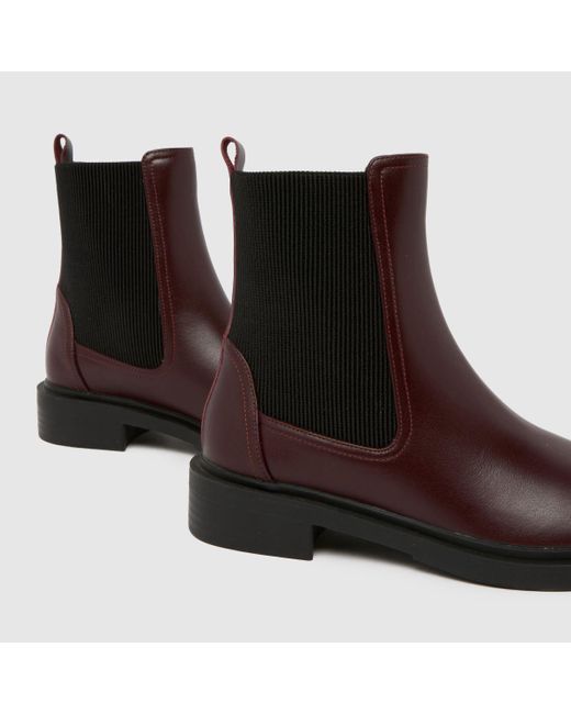 Schuh Brown Astrid Leather Chelsea Boots