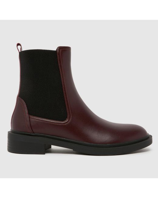 Schuh Brown Astrid Leather Chelsea Boots
