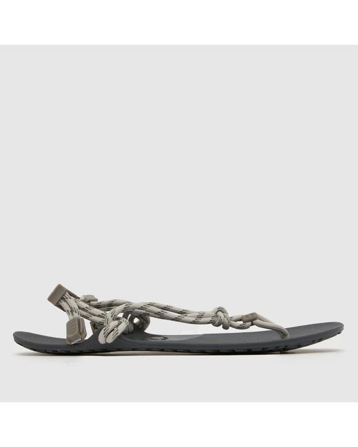 XERO Black Genesis Sandals