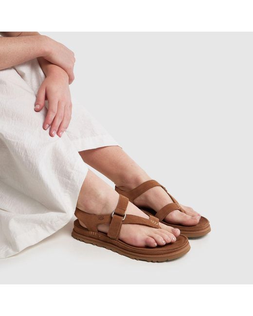Ugg Brown Goldengaze Toe Post Sandals