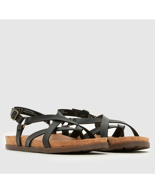 Blowfish Brown Luster 2 Sandals
