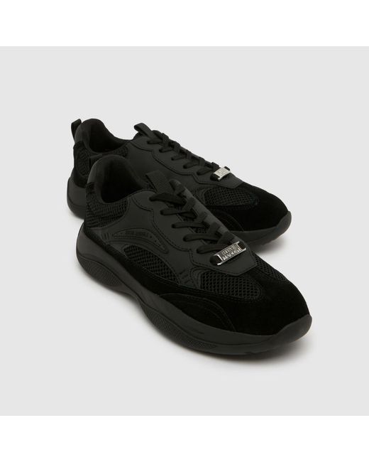 Steve Madden Black Premio Trainers