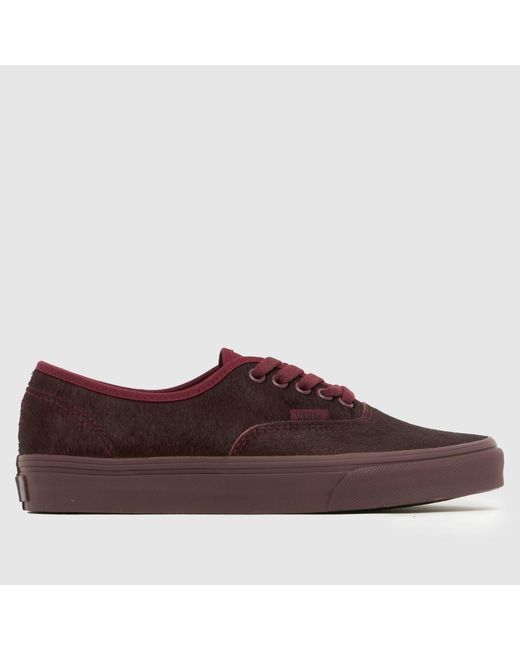 Vans Brown Authentic Trainers