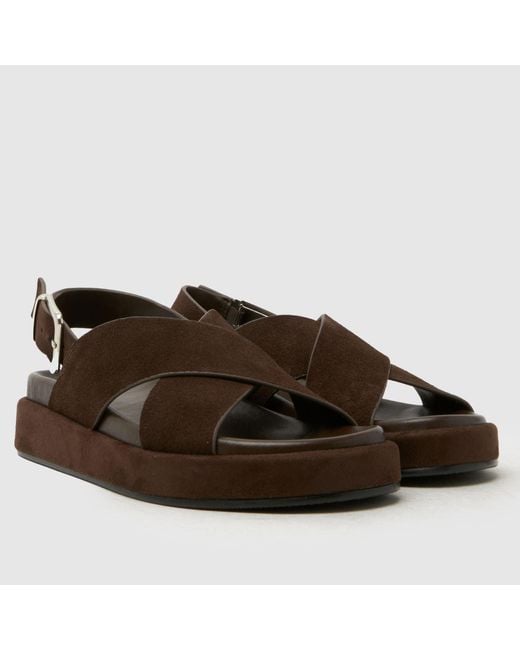 Schuh Brown Tennessee Suede Sandals