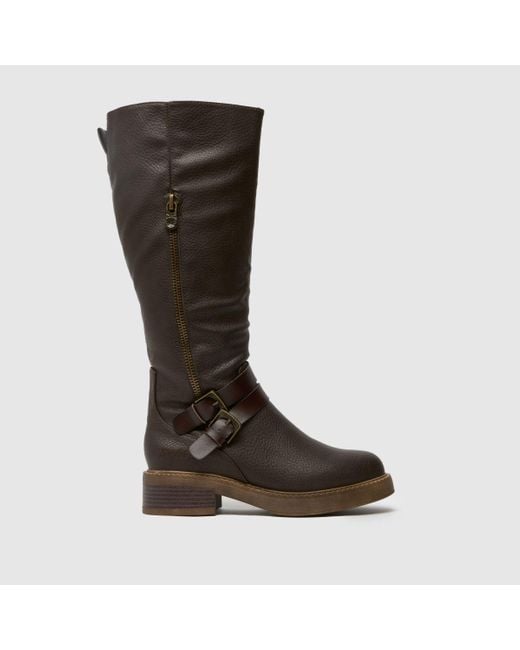 Blowfish Brown Virtue 2 High Leg Boots In