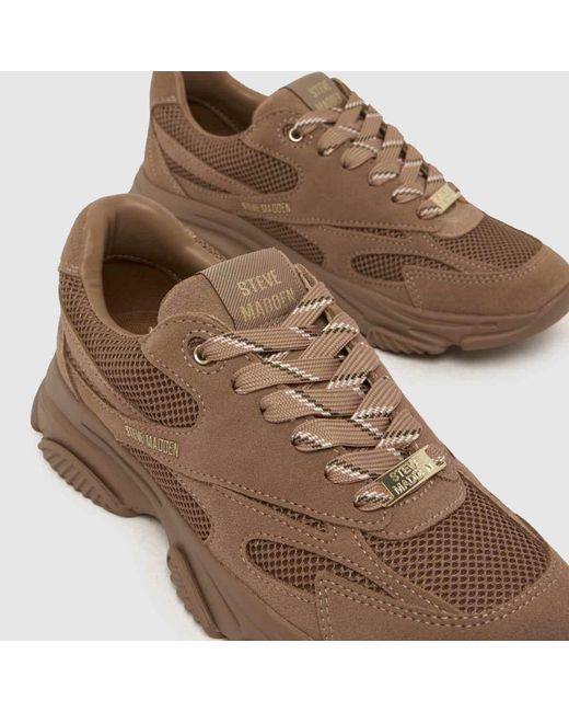Steve Madden Brown Front Row Trainers