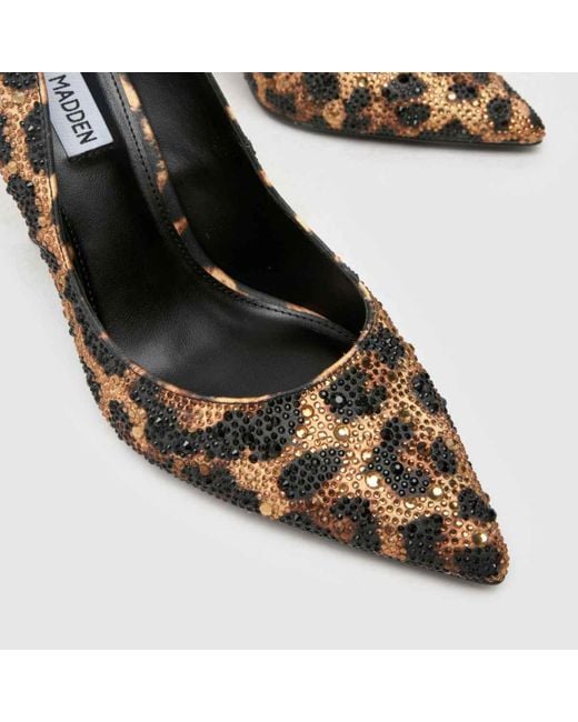 Steve Madden Metallic Evelyn-rl Leopard High Heels In