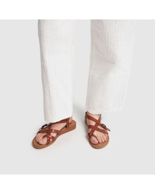Blowfish Brown April Sandals