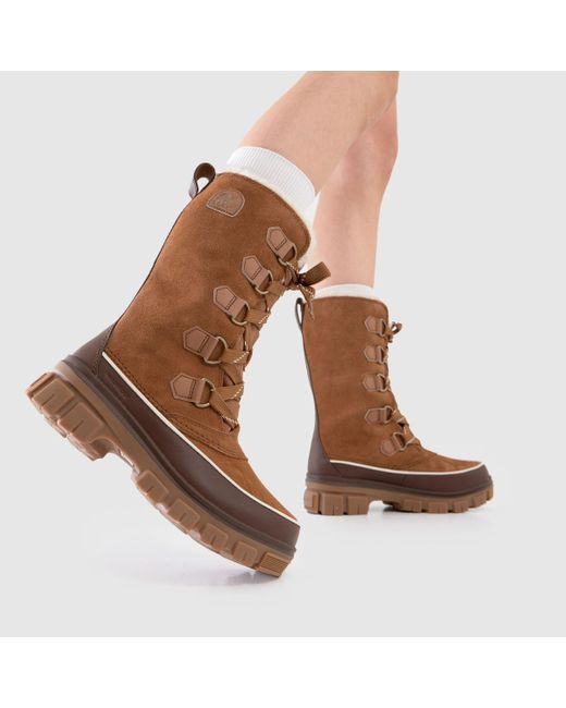 Sorel Brown Torino Tall Boots