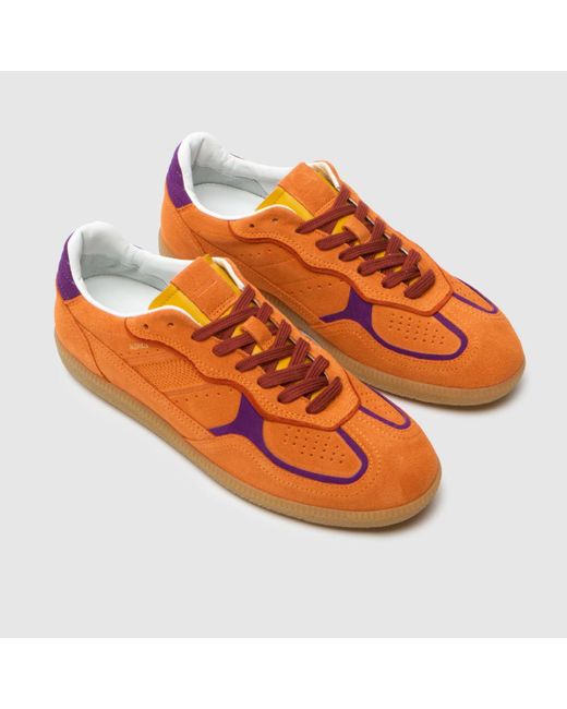 Alohas Brown Tb.490 Rife Trainers