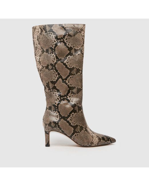 Schuh Brown Dottie Knee High Heel Boots