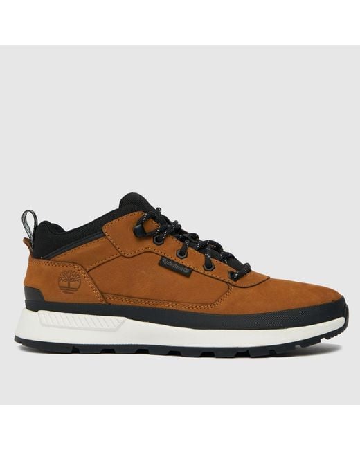 Timberland Brown Field Trekker Low Boots for men