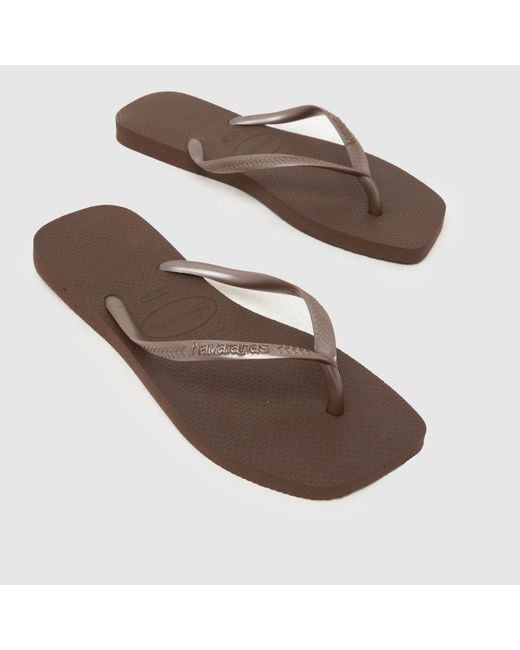 Havaianas Brown Slim Square Flip Sandals