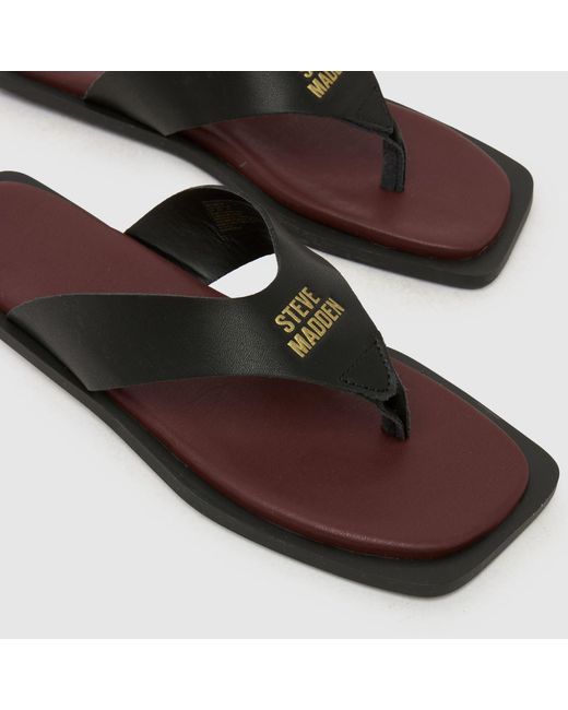 Steve Madden Brown Splash-B Flip Sandals